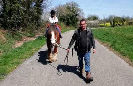 Une calèche attelée à une jument