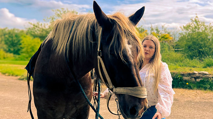 Personne près d'un cheval